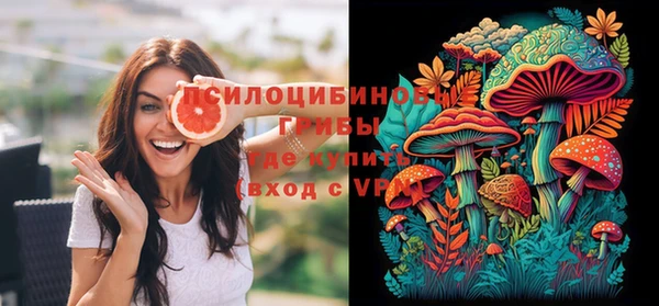 не бодяженный Арсеньев
